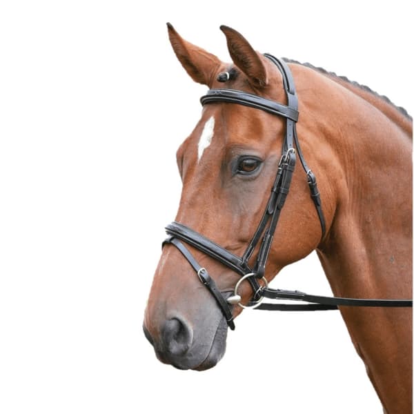 Salisbury Bodenham Leather Stitch Horse Bridle