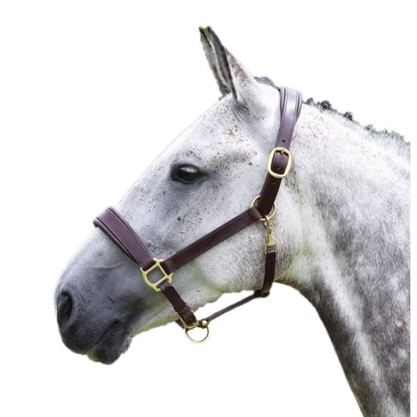 Blenheim Leather Travel Horse Headcollar