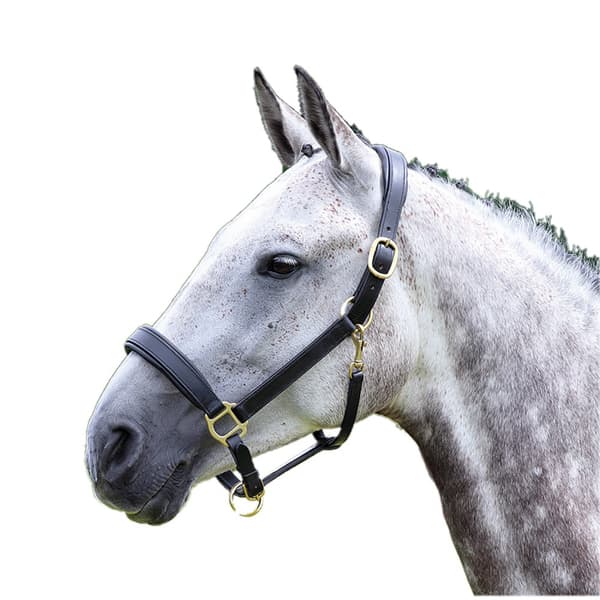 Blenheim Leather Travel Horse Headcollar Black X Full