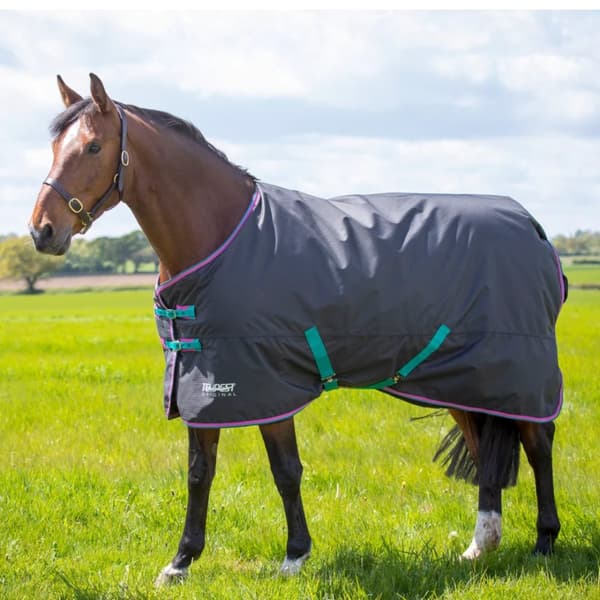 Tempest Original 300 Horse Turnout Rug