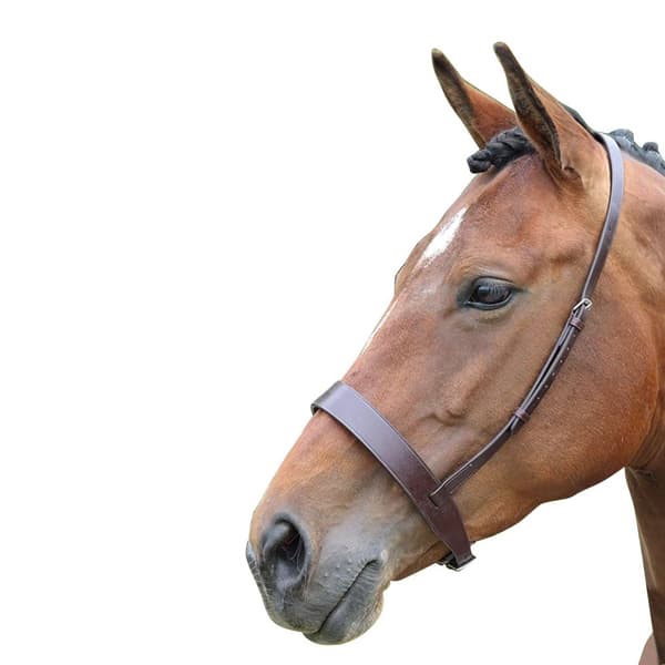 Blenheim Læder Hest Cavesson næsebånd