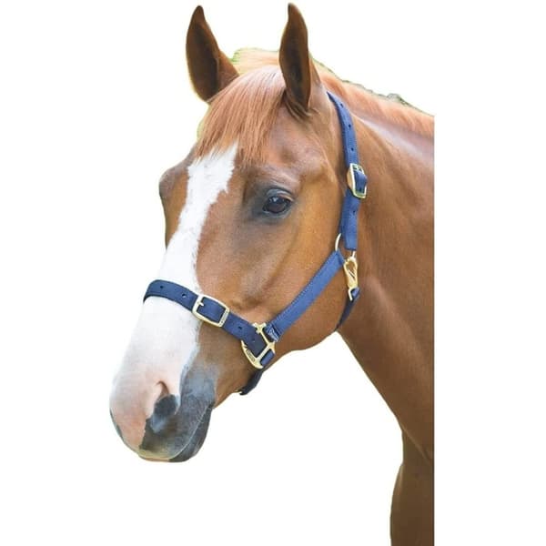 Shires Adjustable Horse Headcollar