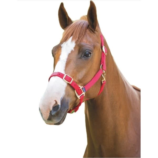 Shires Adjustable Horse Headcollar