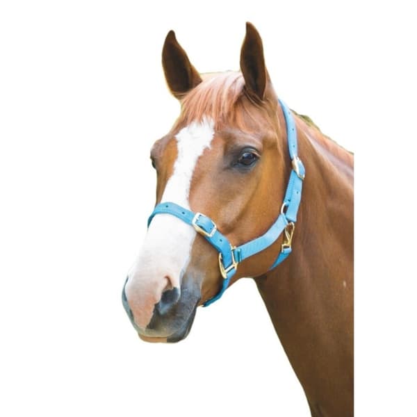 Shires Adjustable Horse Headcollar