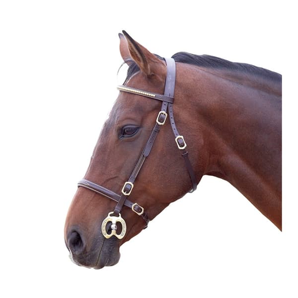 Blenheim Læder Clincher hest Inhand Bridle