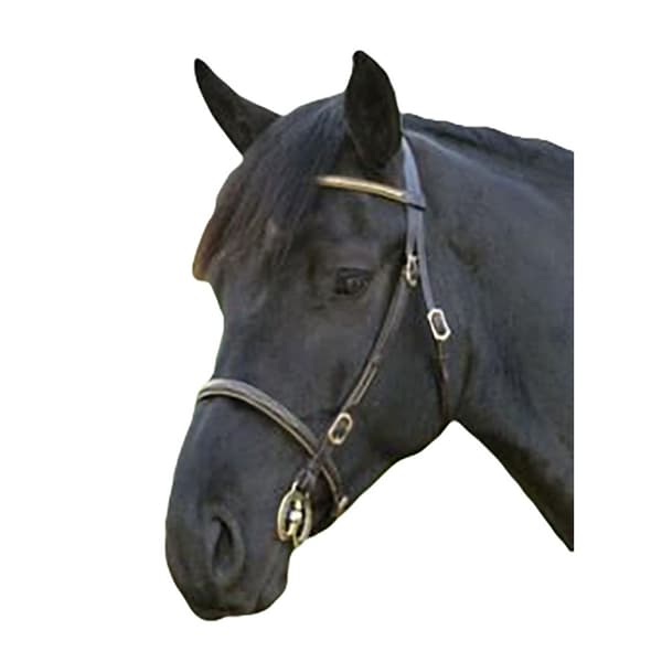 Blenheim Leather Clincher Horse Inhand Bridle