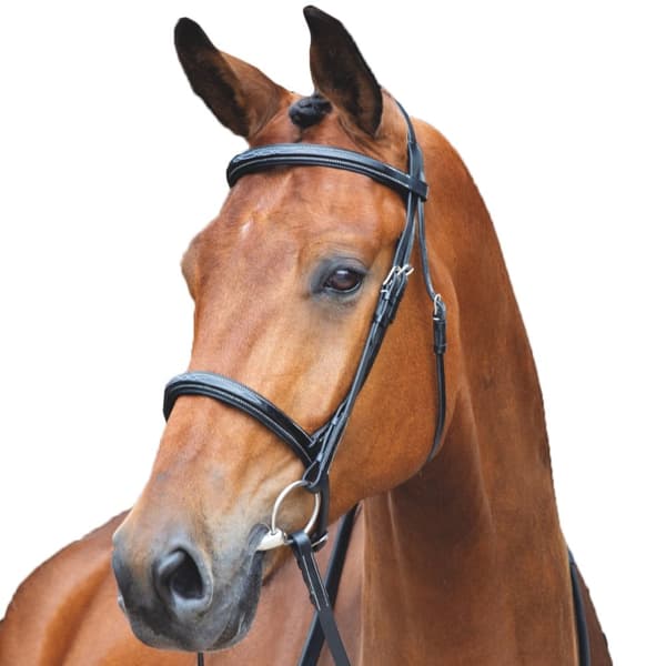Salisbury Fairford Leather Horse Bridle Black Small Pony