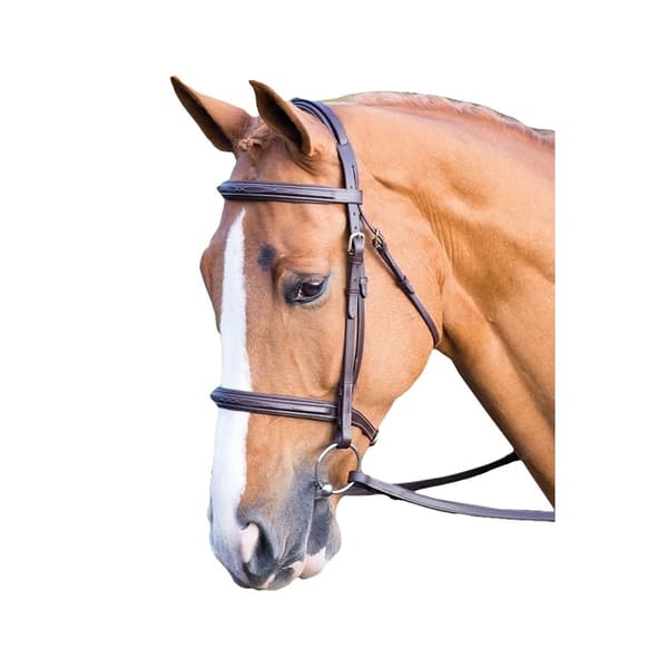 Salisbury Fairford Leather Horse Bridle