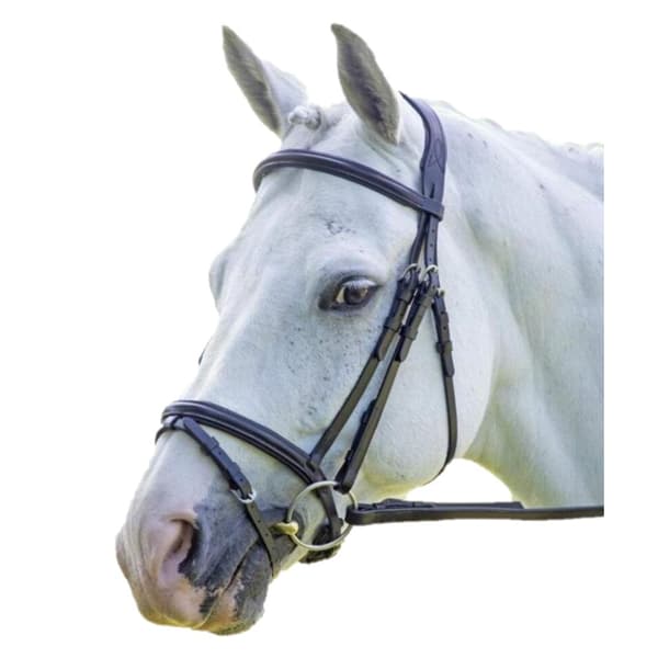 Velociti Raised Flash Leather Horse Bridle