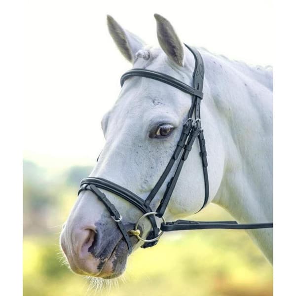Velociti Raised Flash Leather Horse Bridle