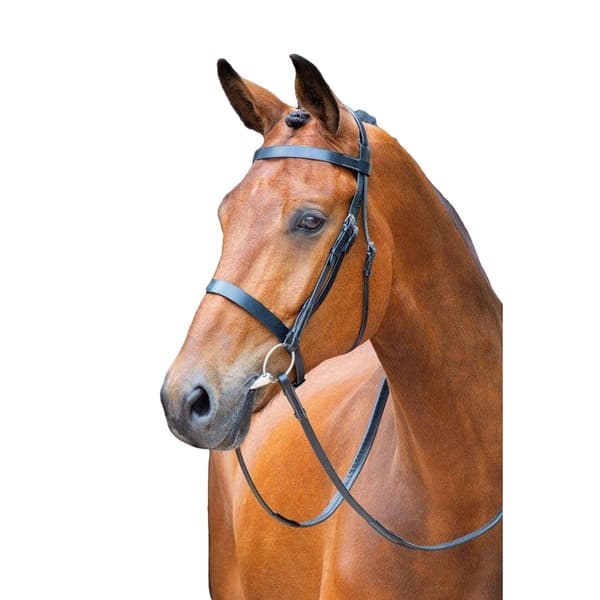 Salisbury Berrington Leather Horse Bridle Black Cob