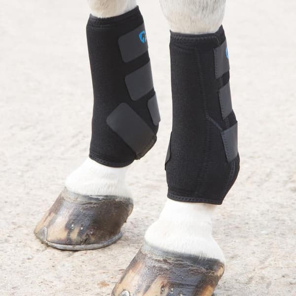 ARMA Sports Horse Boots