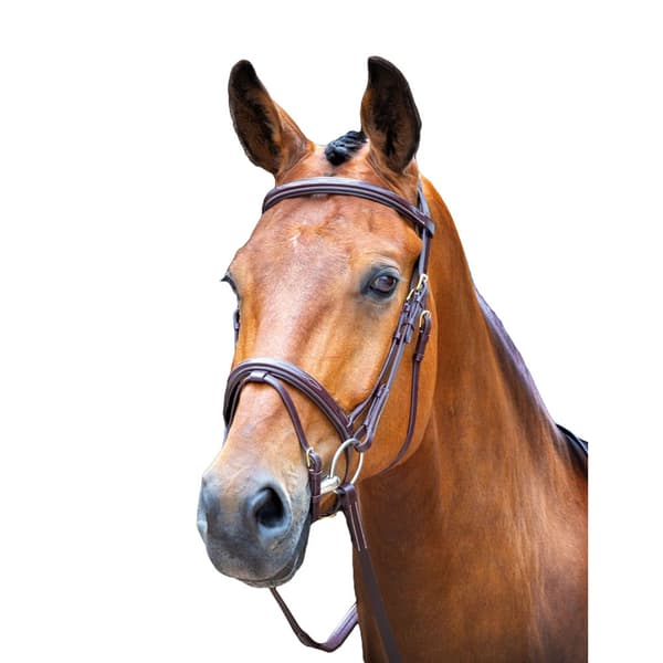 Salisbury Bodenham Leather Horse Bridle