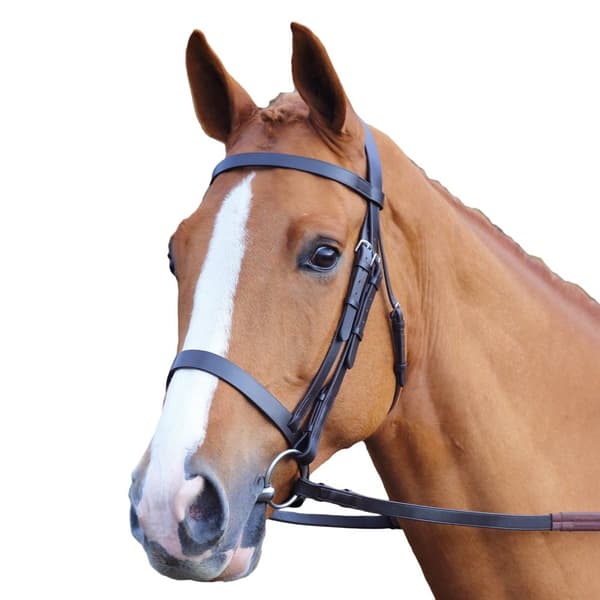 Aviemore Plain Leather Horse Bridle