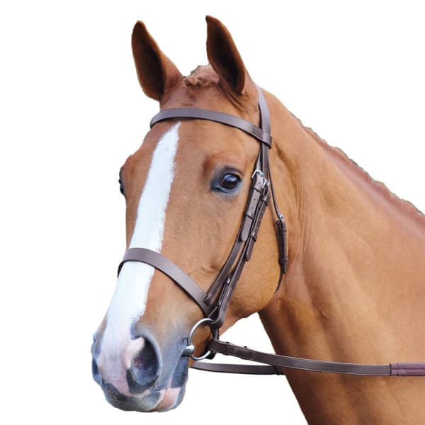 Aviemore Plain Leather Horse Bridle