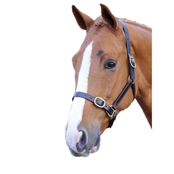 Blenheim Leather Adjustable Horse Headcollar
