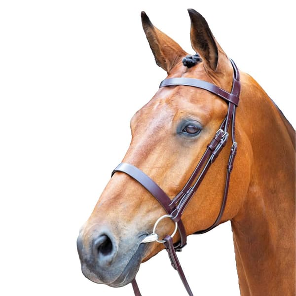 Salisbury Berrington Leather Stitch Horse Bridle