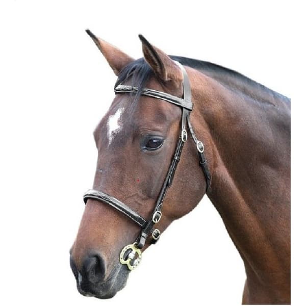 Blenheim Fancy Stitch Leather Horse Inhand Bridle