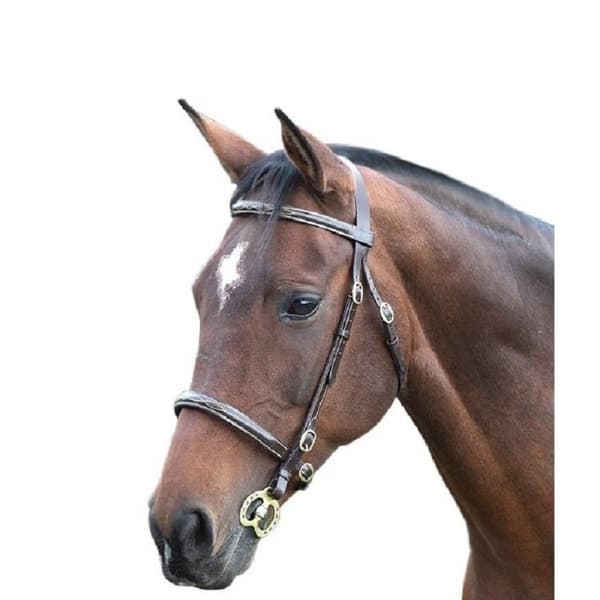 Blenheim Fancy Stitch Leather Horse Inhand Bridle