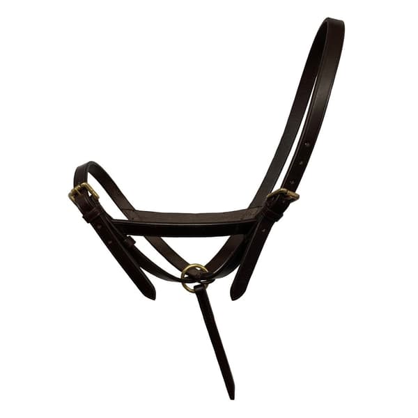 Blenheim Leather Foal Slip Headpiece Havana Foal