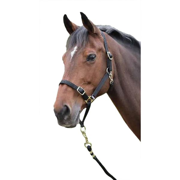 Shires Hest Hovedhalsbånd