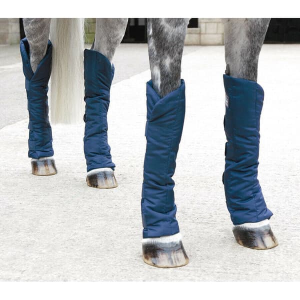 Shires Sure Economy Horse Travelling Boots (Pack of 4)