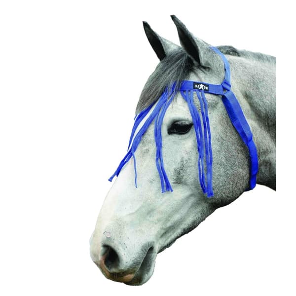 Saxon Häst flugor fransar Blue Full