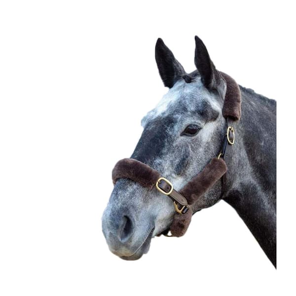 Shires Performance Horses SupaFleece halterneck (pakke med 9 stk.)