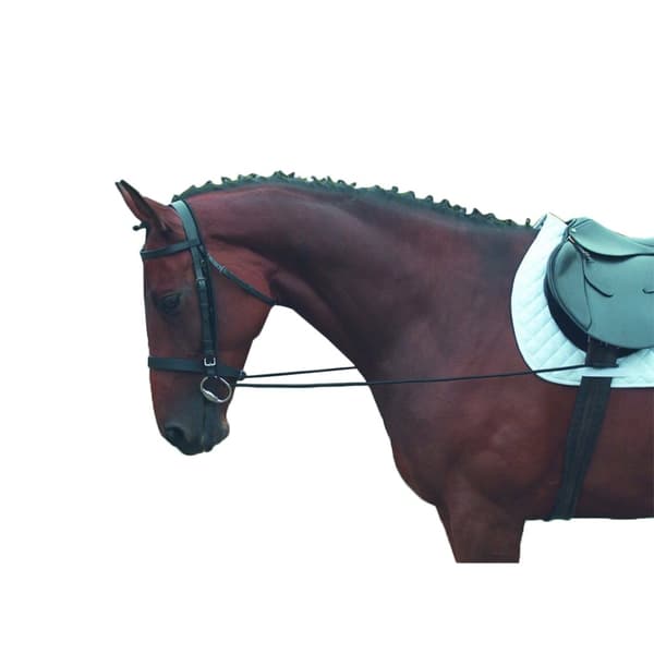 Shires Elastic Training Horse Reins