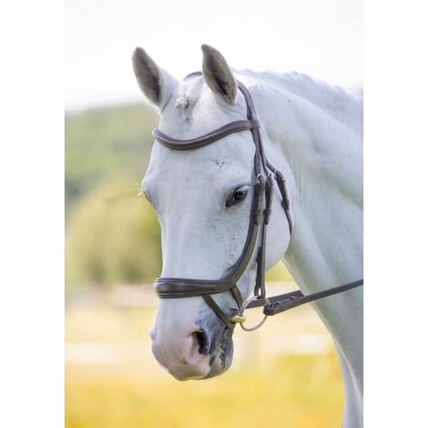 Velociti Ergonomic Leather Curved Horse Flash Bridle