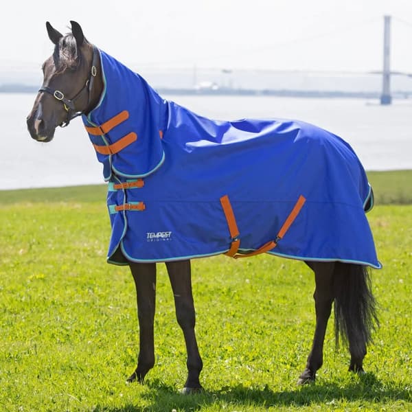 Tempest Original 50 Combo Neck Horse Turnout Rug