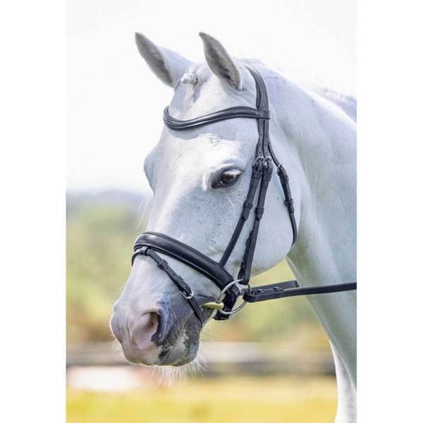 Velociti Leather Dressage Horse Flash Noseband
