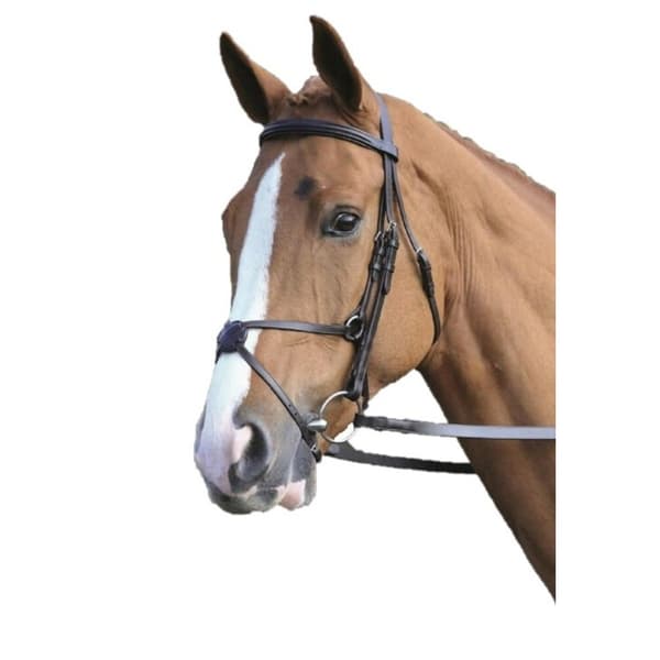 Aviemore Mexican Leather Horse Bridle
