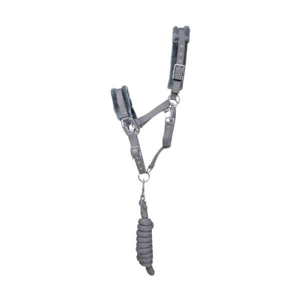 Hy Sport Active Headcollar och ledband för hästar