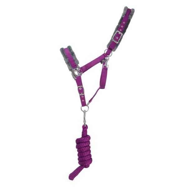 Hy Sport Active Horse Headcollar and Leadrope