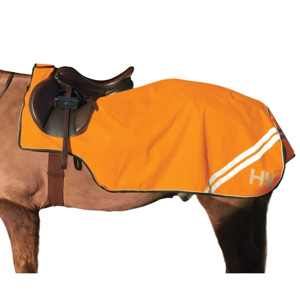 HyVIZ Reflector Horse Exercise Sheet