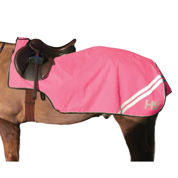 HyVIZ Reflector Horse övningsblad