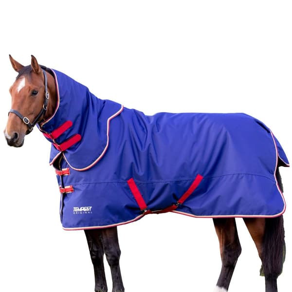 Tempest Original 100 Horse Turnout Rug & Neck Cover Set