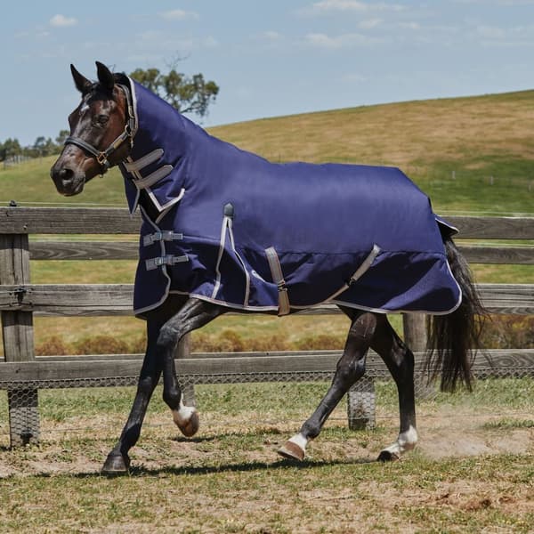 Weatherbeeta Comfitec Essential Combo Neck Horse Turnout Rug