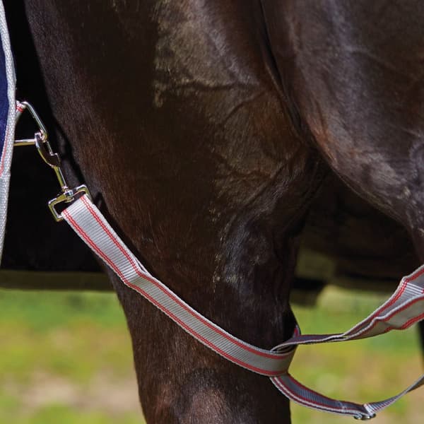 Weatherbeeta Comfitec Essential Combo Neck Horse Turnout Rug