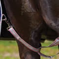 Pikkukuva 2 / 4: Weatherbeeta Comfitec Essential Combo Neck Horse Turnout Rug
