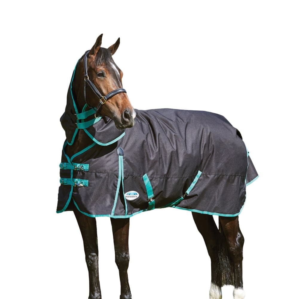 Weatherbeeta Green-Tec avtagbar hals Midweight Horse Turnout Rug