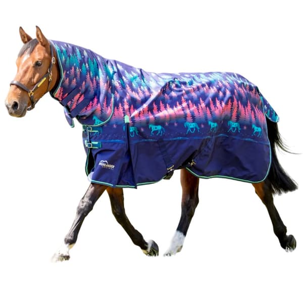 Shires Highlander Original 200 Combo Neck Horse Turnout Rug