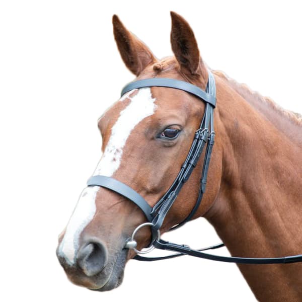 Avignon Hunter Leather Horse Cavesson Bridle