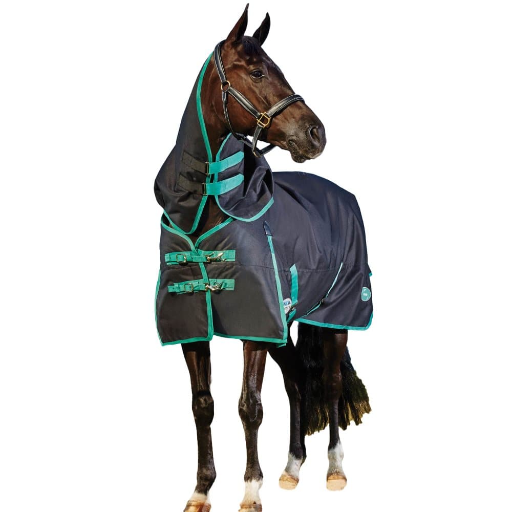 Weatherbeeta Green-Tec avtagbar hals Heavyweight Horse Turnout Rug