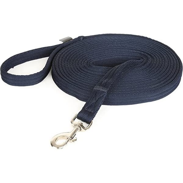Wessex Web Horse Lunge Line