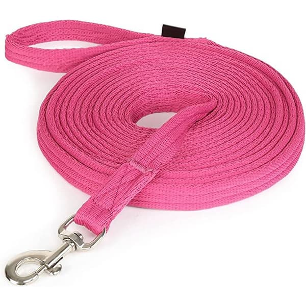 Wessex Web Horse Lunge Line