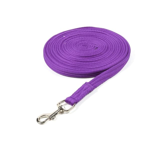 Wessex Web Horse Lunge Line