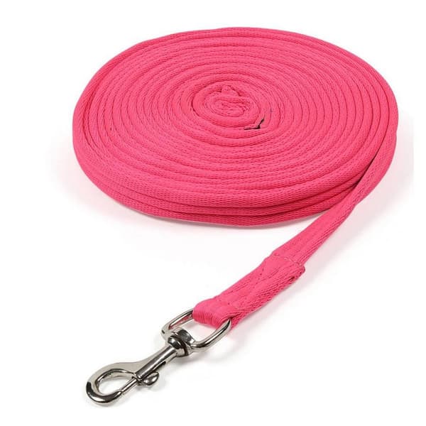 Wessex Web Horse Lunge Line