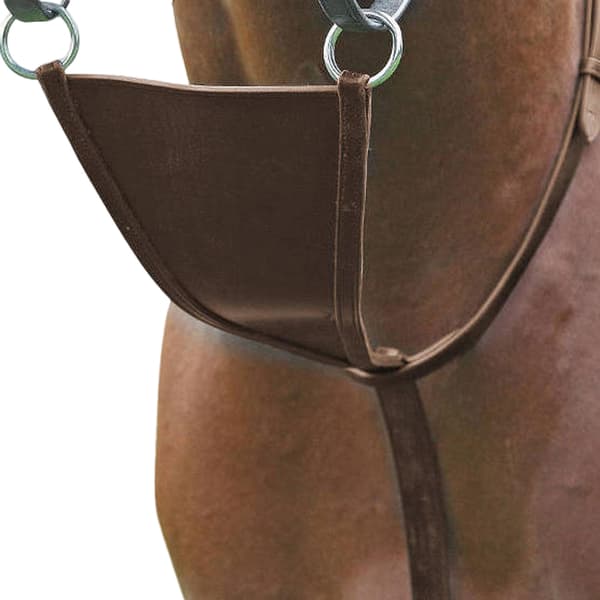 Blenheim Læder hest Bib Martingale Havana Full